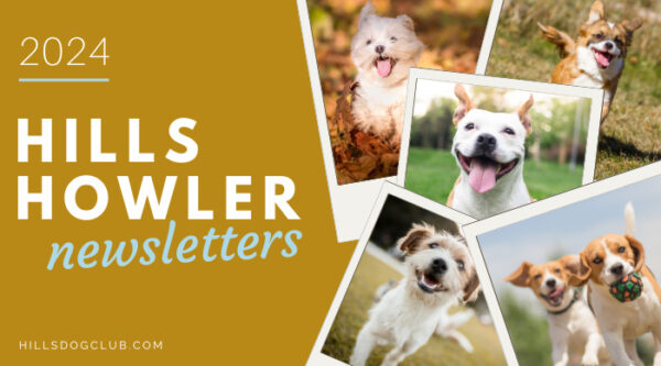 2024 Hills Howler Hills Dog Club   Hills Dog Club Newsletters 2024 600x333 